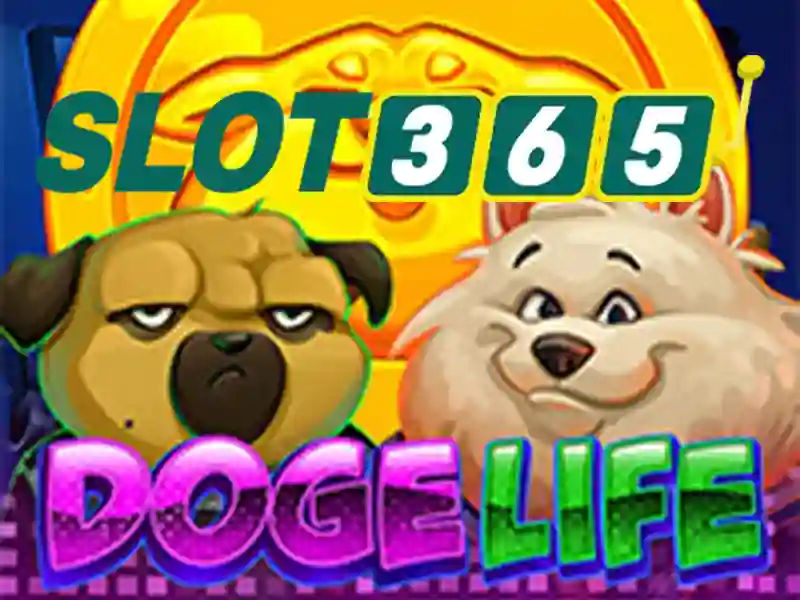 Slot365 là gì và hướng dẫn chơi