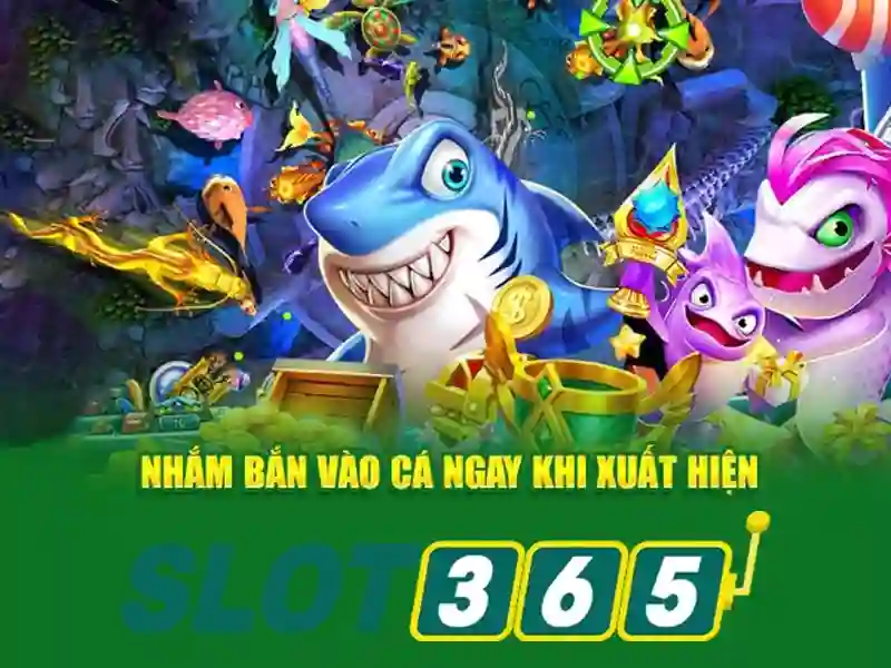 Trải nghiệm người dùng trên Slot365 Trải nghiệm người dùng trên Slot365