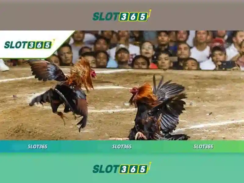 Danh mục trò chơi tại Slot365