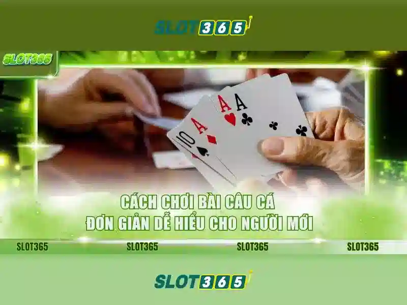 Giao diện và trải nghiệm người dùng