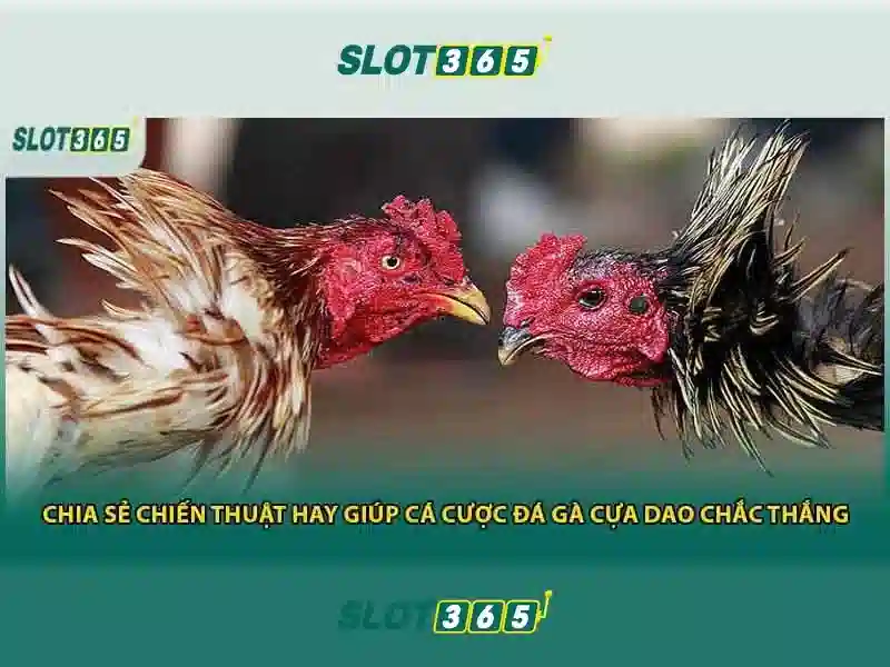 Slot365 là gì? Khám phá nền tảng slot trực tuyến hàng đầu