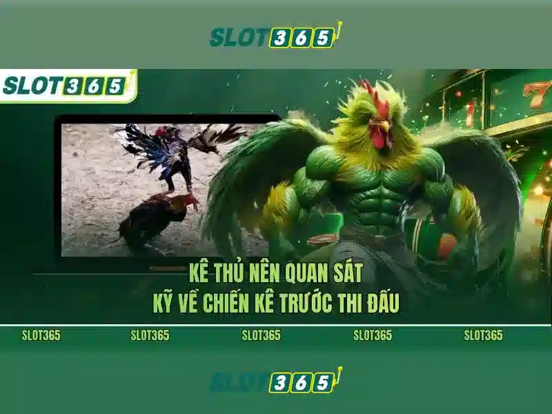 Giới thiệu về Slot365 Giới thiệu về Slot365