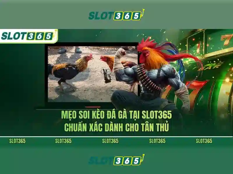 Slot365 - Đánh giá nền tảng casino online nổi bật