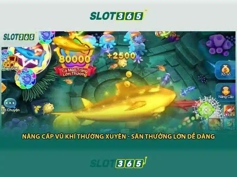 Slot365: Khám phá nền tảng chơi slot trực tuyến