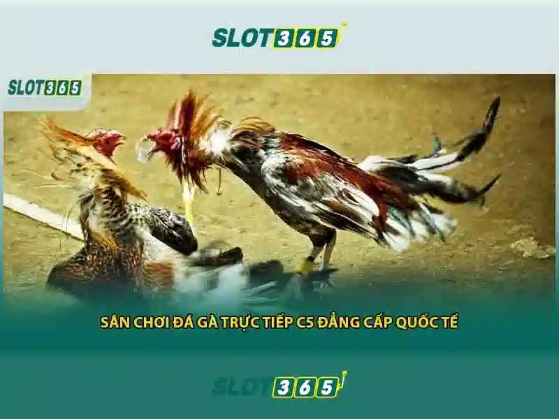 Slot365 - Nền tảng slot trực tuyến hiện đại