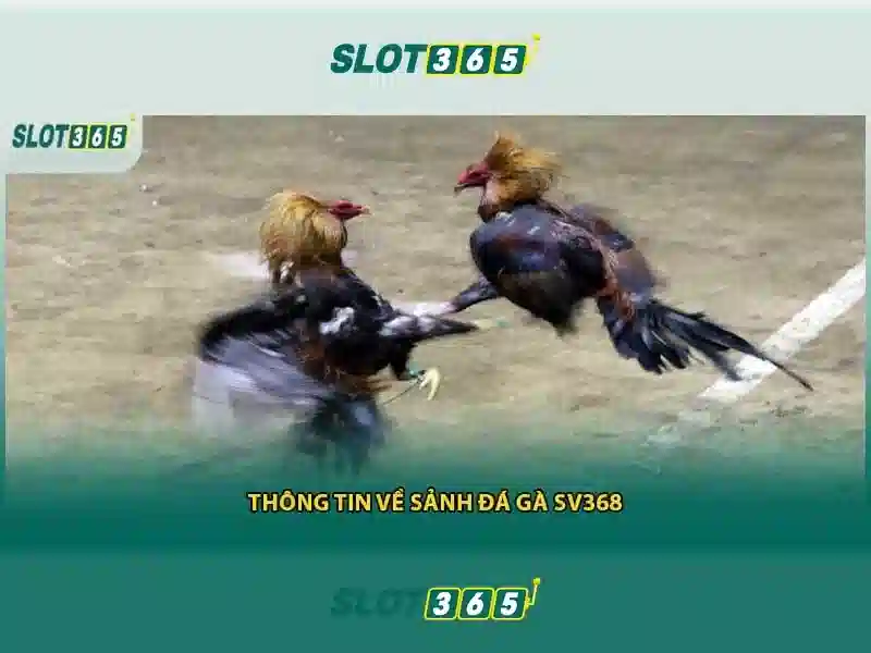 Trò chơi Slot365