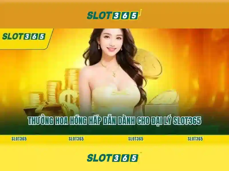 Trải nghiệm người dùng và giao diện