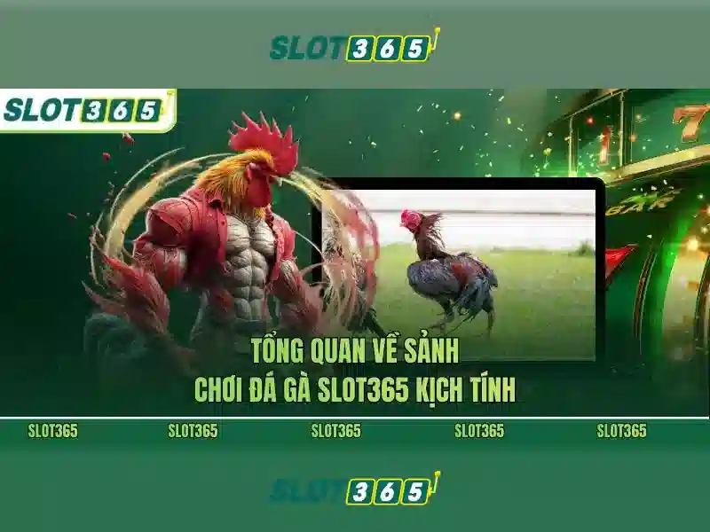 Khuyến mãi và an toàn