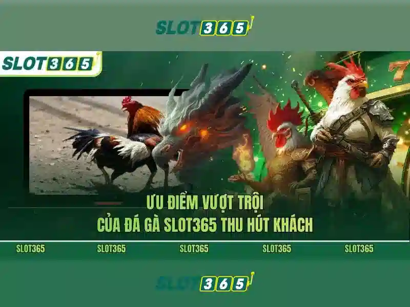 Trải nghiệm người dùng tại Slot365 Trải nghiệm người dùng tại Slot365