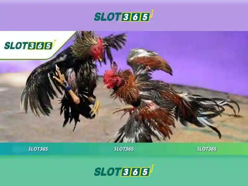 Giới thiệu về Slot365 Giới thiệu về Slot365