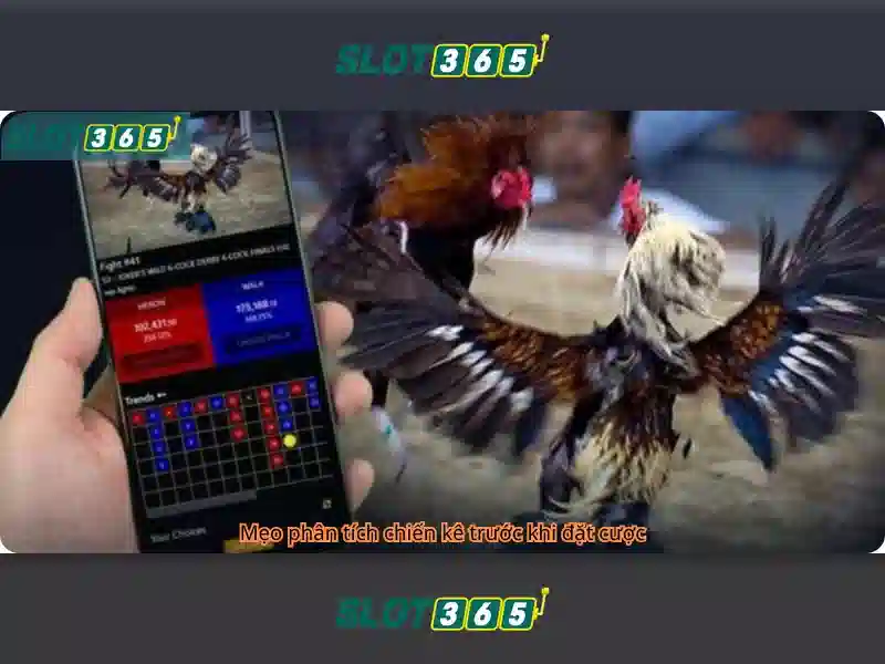 Slot365 – Đánh giá và trải nghiệm chơi slot trực tuyến