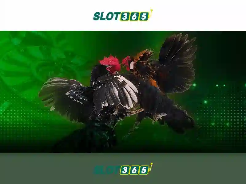 Trò chơi và danh mục trên Slot365 Trò chơi và danh mục trên Slot365