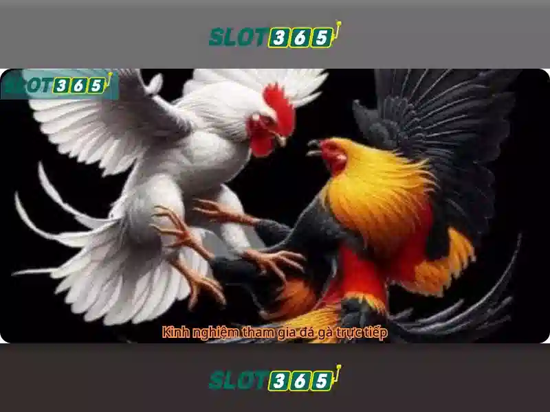 Slot365 là gì?