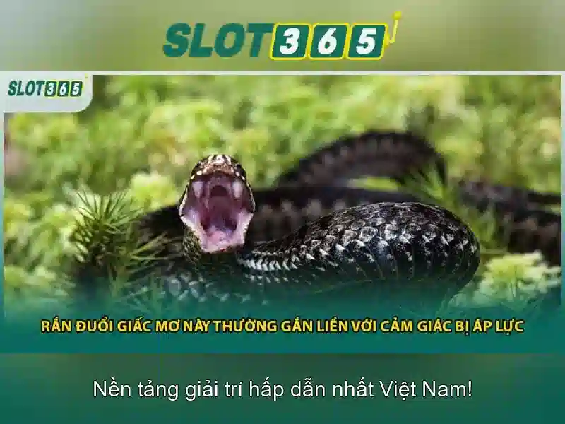Slot365 - Tổng quan và trải nghiệm người dùng