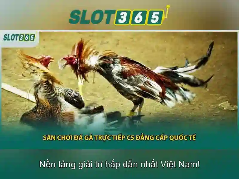 An toàn và trách nhiệm khi chơi An toàn và trách nhiệm khi chơi