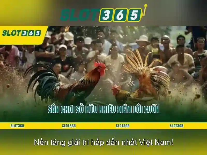 Giao dien ung dung Slot365 tren dien thoai
