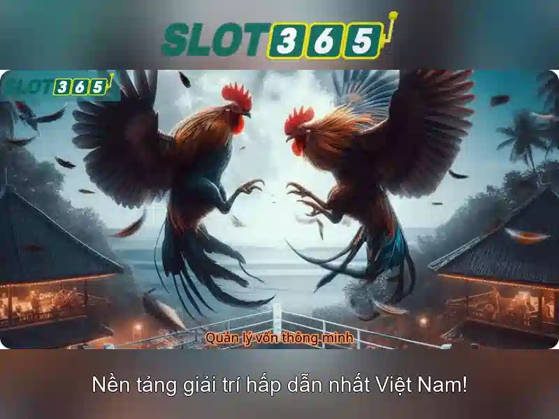 Slot365: Nền tảng slot online uy tín và giải trí