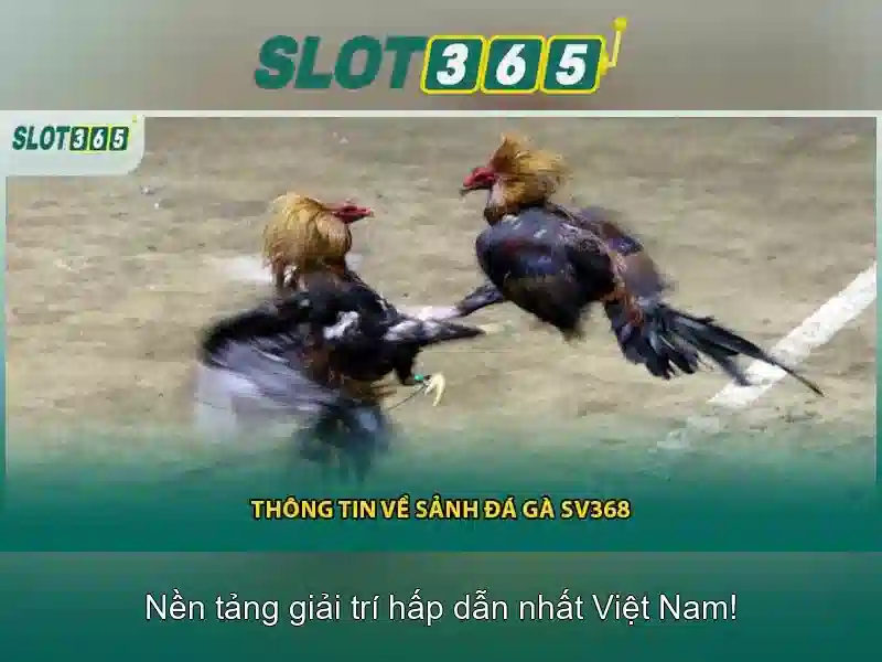 Mẹo chơi bắn cá 3 cây dễ ăn tiền nhà cái