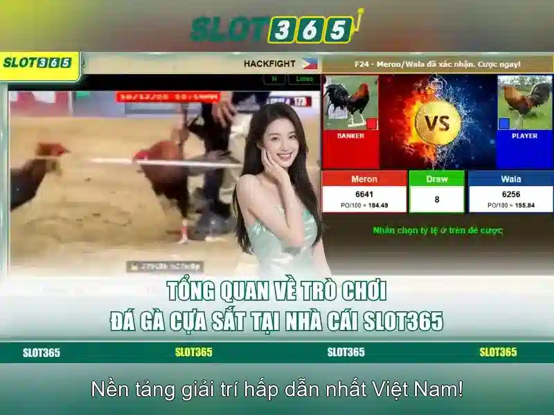 Danh mục trò chơi và nhà cung cấp