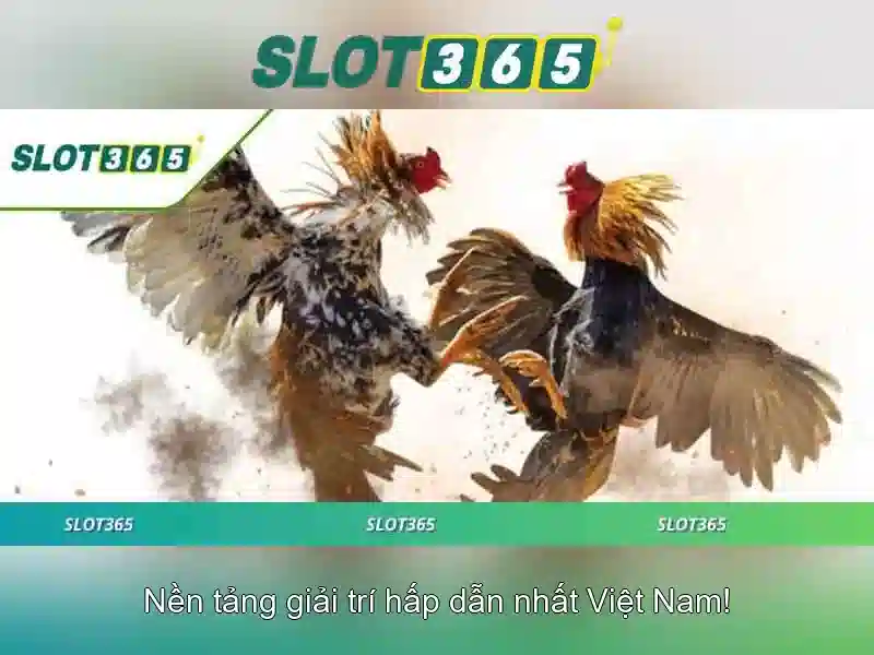 Khuyến mãi và hỗ trợ người chơi