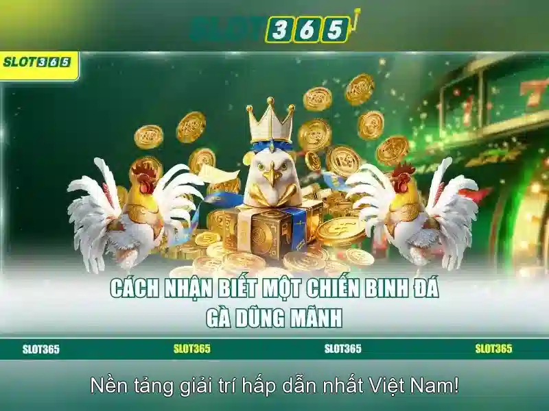 Mẹo chơi bắn cá 3 cây dễ ăn tiền nhà cái
