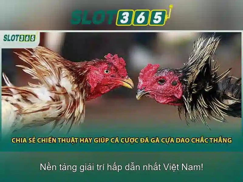 Slot365 và thế giới casino trực tuyến