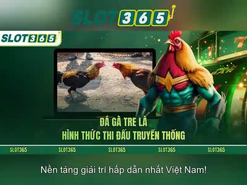 Huong dan cho nguoi choi moi