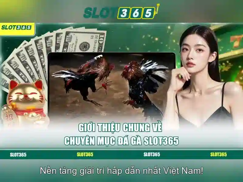 Slot365: Nền tảng máy xèng trực tuyến đẳng cấp