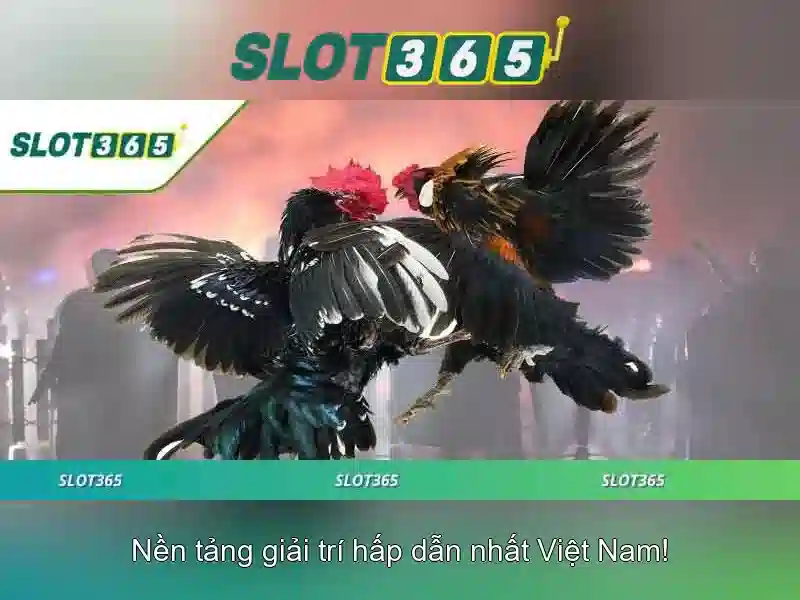 Slot365: Đánh giá và hướng dẫn trải nghiệm