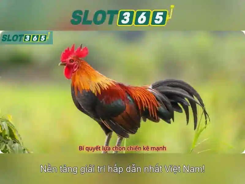 Mẹo chơi bắn cá 3 cây dễ ăn tiền nhà cái