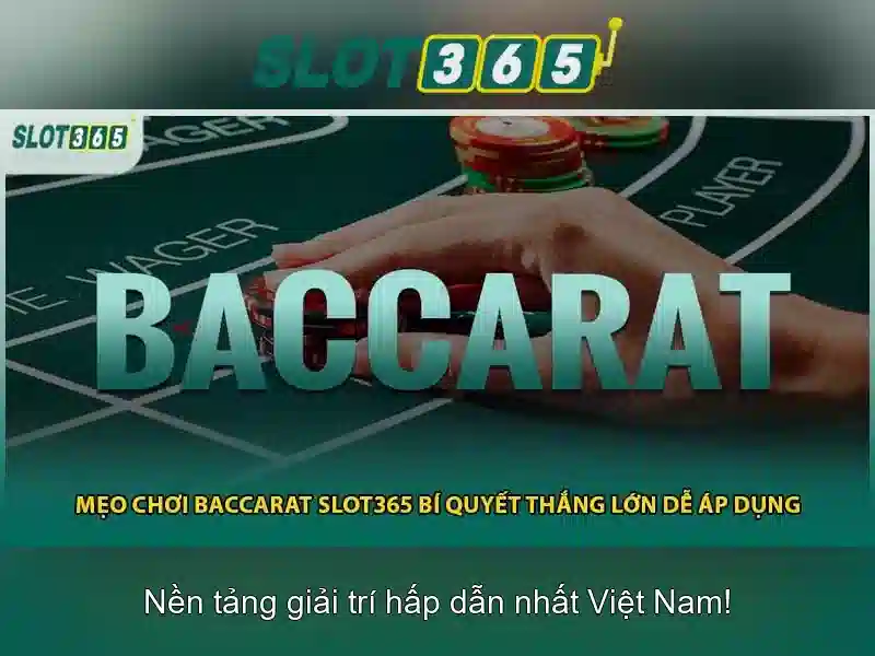 Slot365: Tổng quan về nền tảng cá cược máy xèng hiện đại