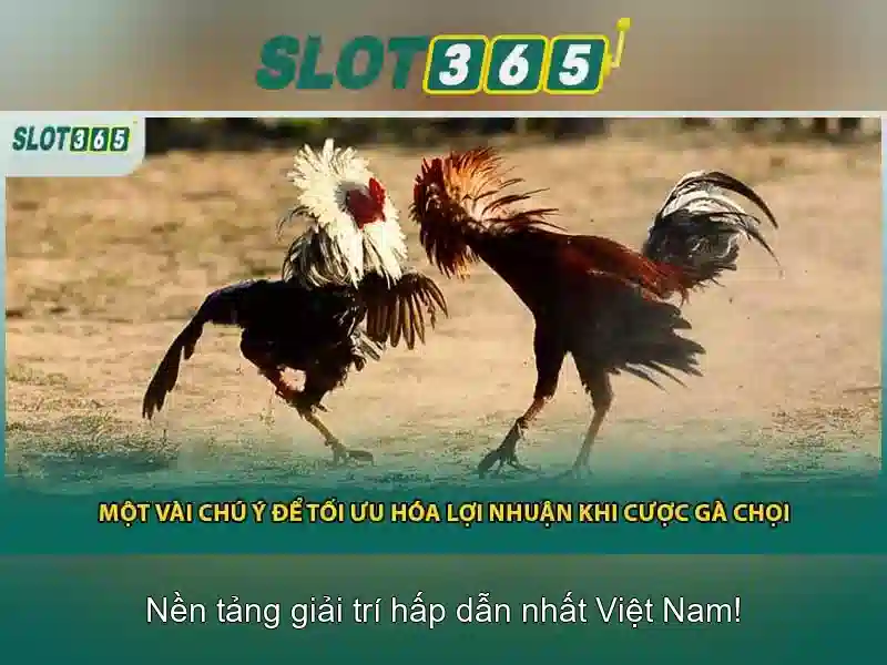 Slot365 - Nền tảng xổ số trực tuyến đáng tin cậy