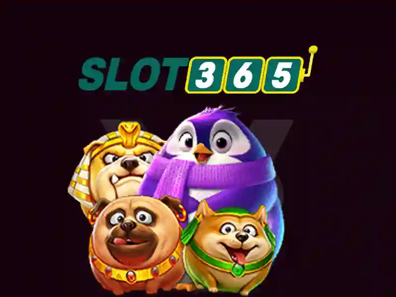 Slot365 - Giới thiệu nền tảng máy đánh bạc trực tuyến