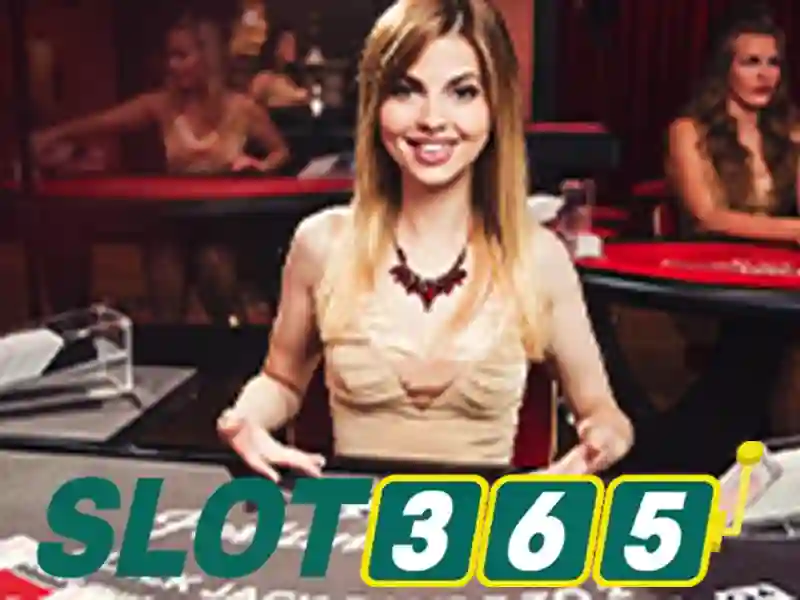 Slot365: Nền tảng đánh bạc trực tuyến hàng đầu