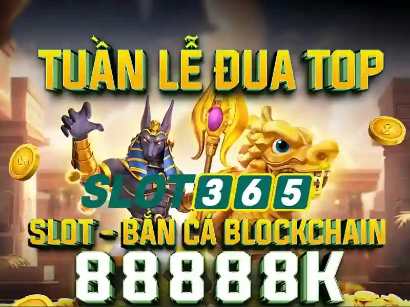 Slot365: Khám phá trải nghiệm cá cược trực tuyến đỉnh cao